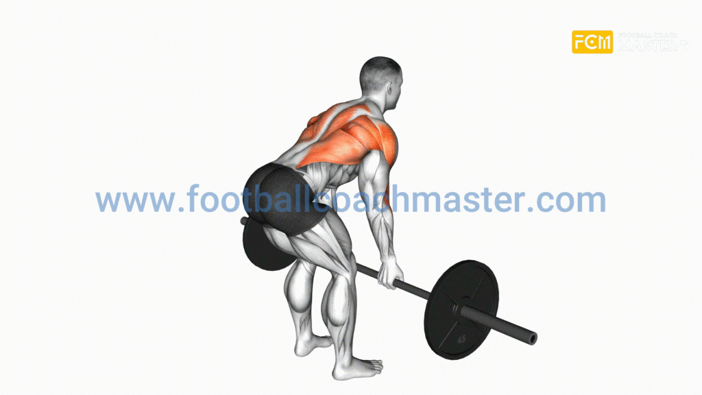 برنامج تدريب لتقوية وبناء عضلات لاعبي كرة القدم 
Row - Pronated Barbell